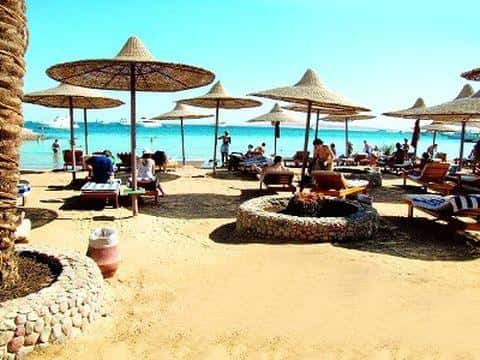 King Tut Resort - zdjęcie 7