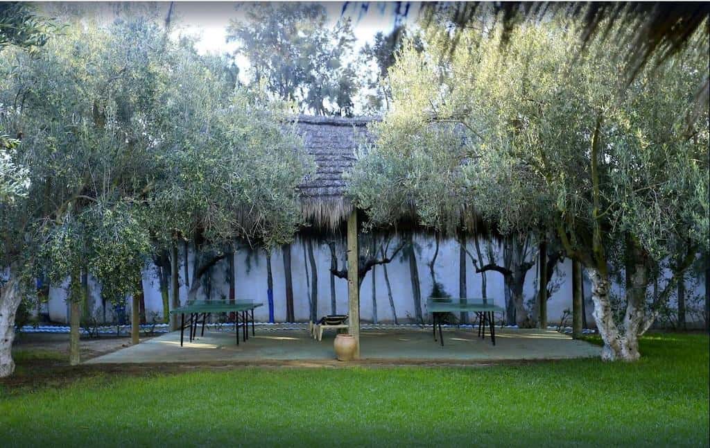 Hammamet Garden Resort & Spa - zdjęcie 34