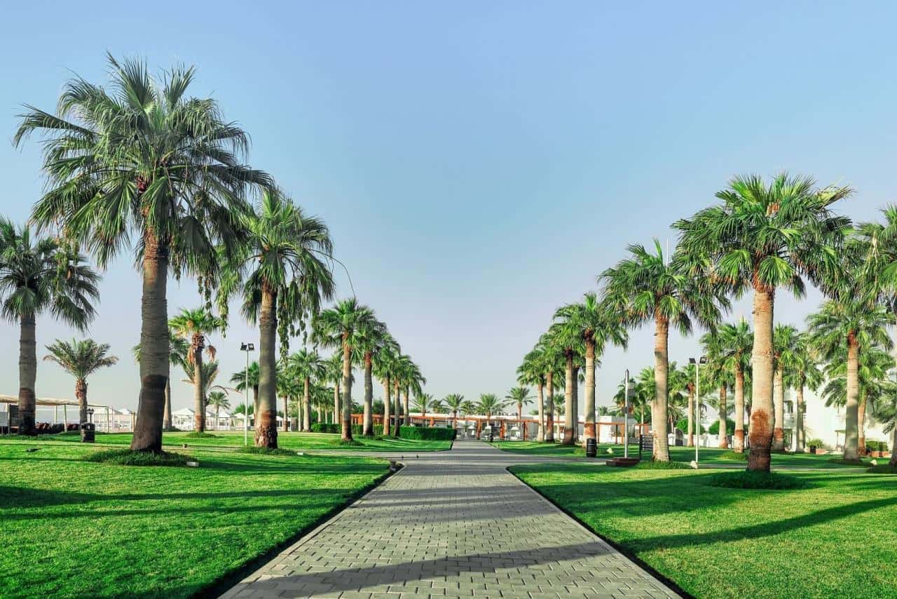 Sealine Beach Resort - zdjęcie 10