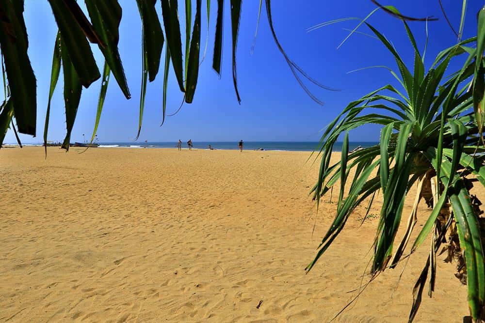 Hibiscus Beach - zdjęcie 2