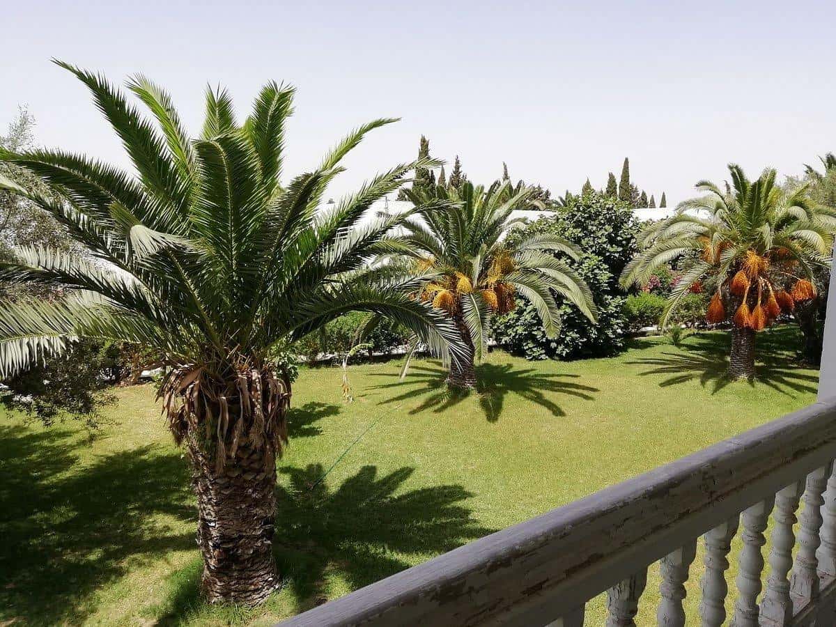 Le Hammamet Hotel & Spa - zdjęcie 41