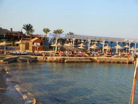 King Tut Resort - zdjęcie 5
