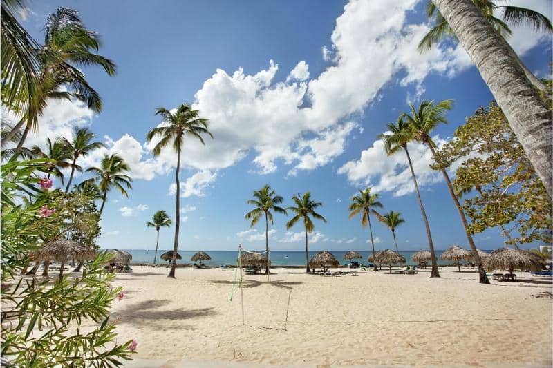 Viva Dominicus Beach by Wyndham - zdjęcie 6