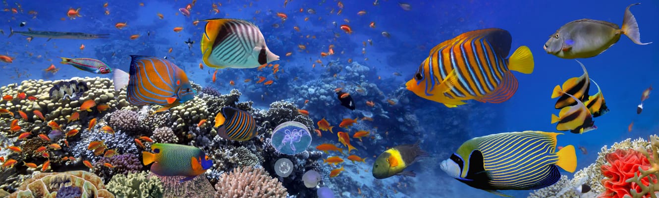 Marsa Alam