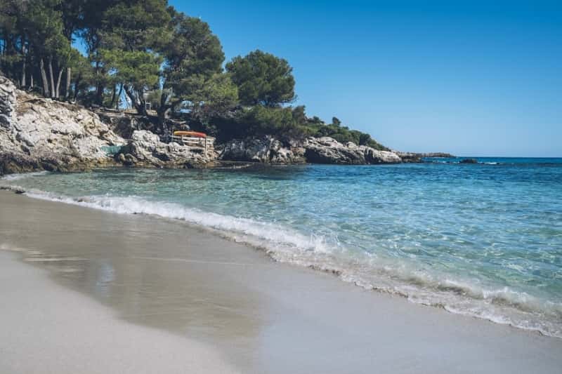 Iberostar Pinos Park - zdjęcie 23