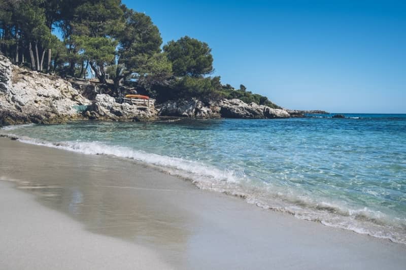 Iberostar Pinos Park - zdjęcie 23