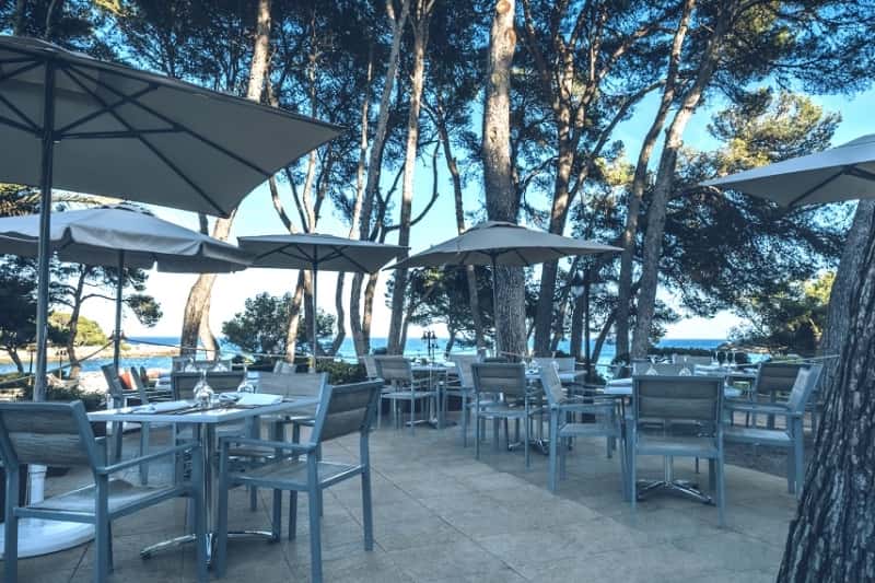 Iberostar Pinos Park - zdjęcie 11
