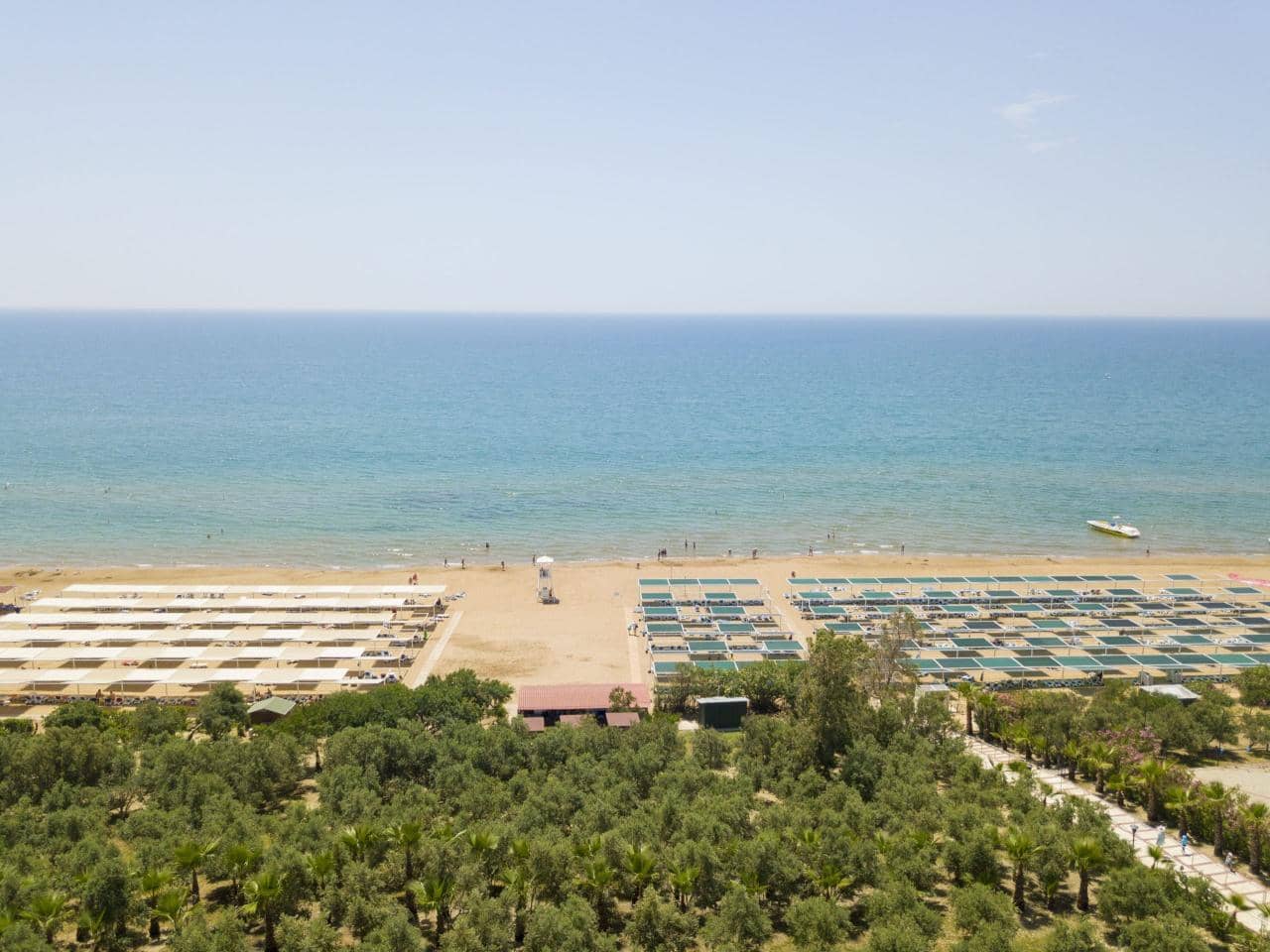 Alba Resort - zdjęcie 11