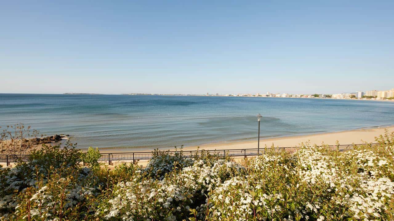 Alua Sunny Beach Resort & Spa (ex. Dreams Sunny Beach Resort & Spa) - zdjęcie 4