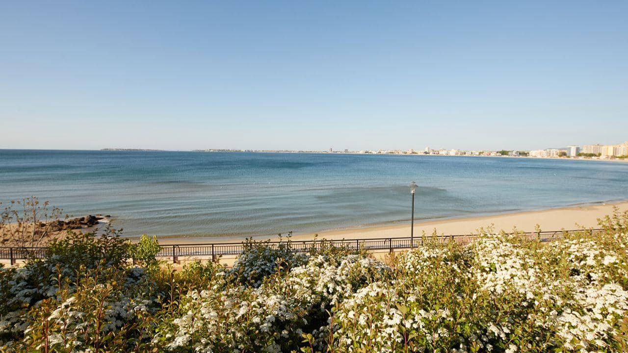 Alua Sunny Beach Resort & Spa (ex. Dreams Sunny Beach Resort & Spa) - zdjęcie 4