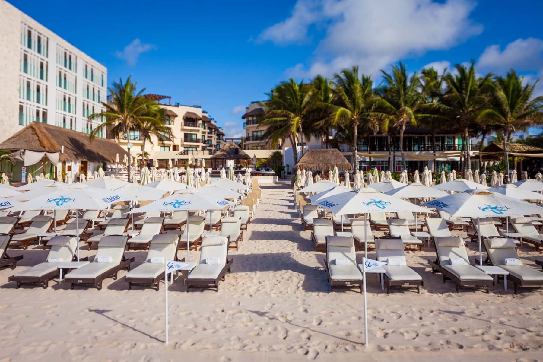 Tukan Hotel Playa del Carmen - zdjęcie 4