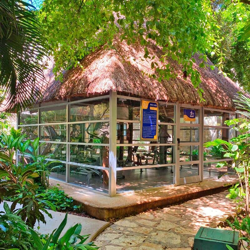Tukan Hotel Playa del Carmen - zdjęcie 30