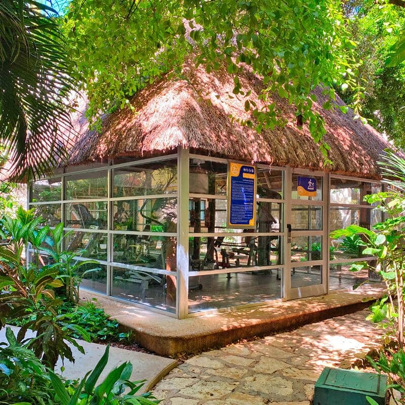 Tukan Hotel Playa del Carmen - zdjęcie 30