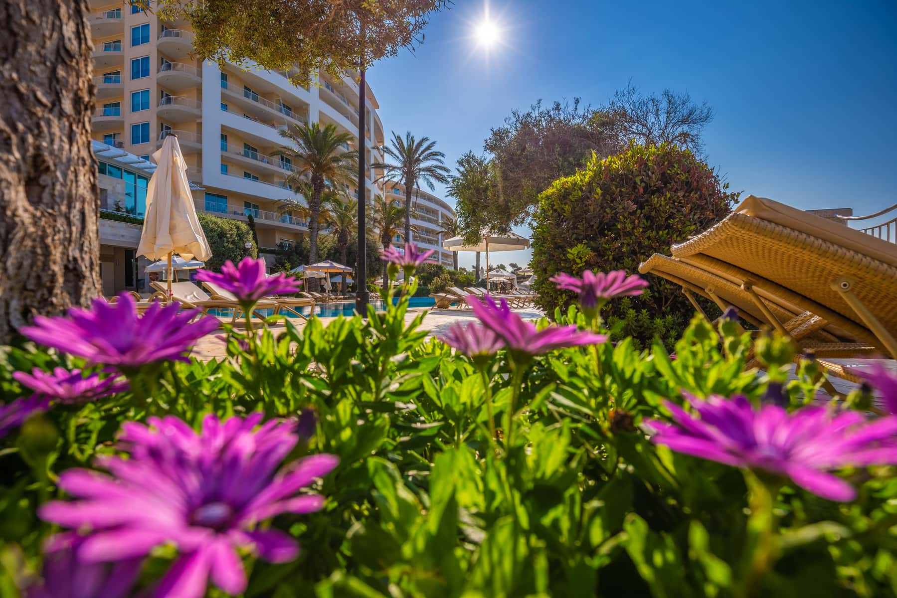 Radisson Blu Golden Sands Resort - zdjęcie 18