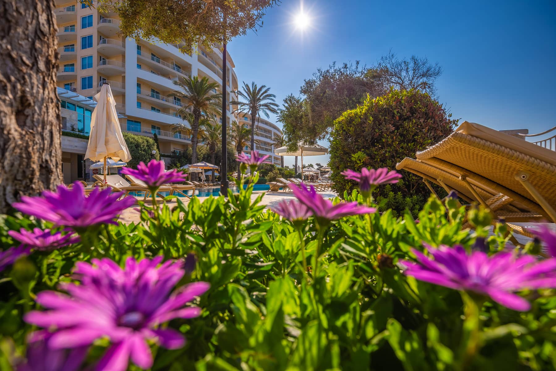 Radisson Blu Golden Sands Resort - zdjęcie 18