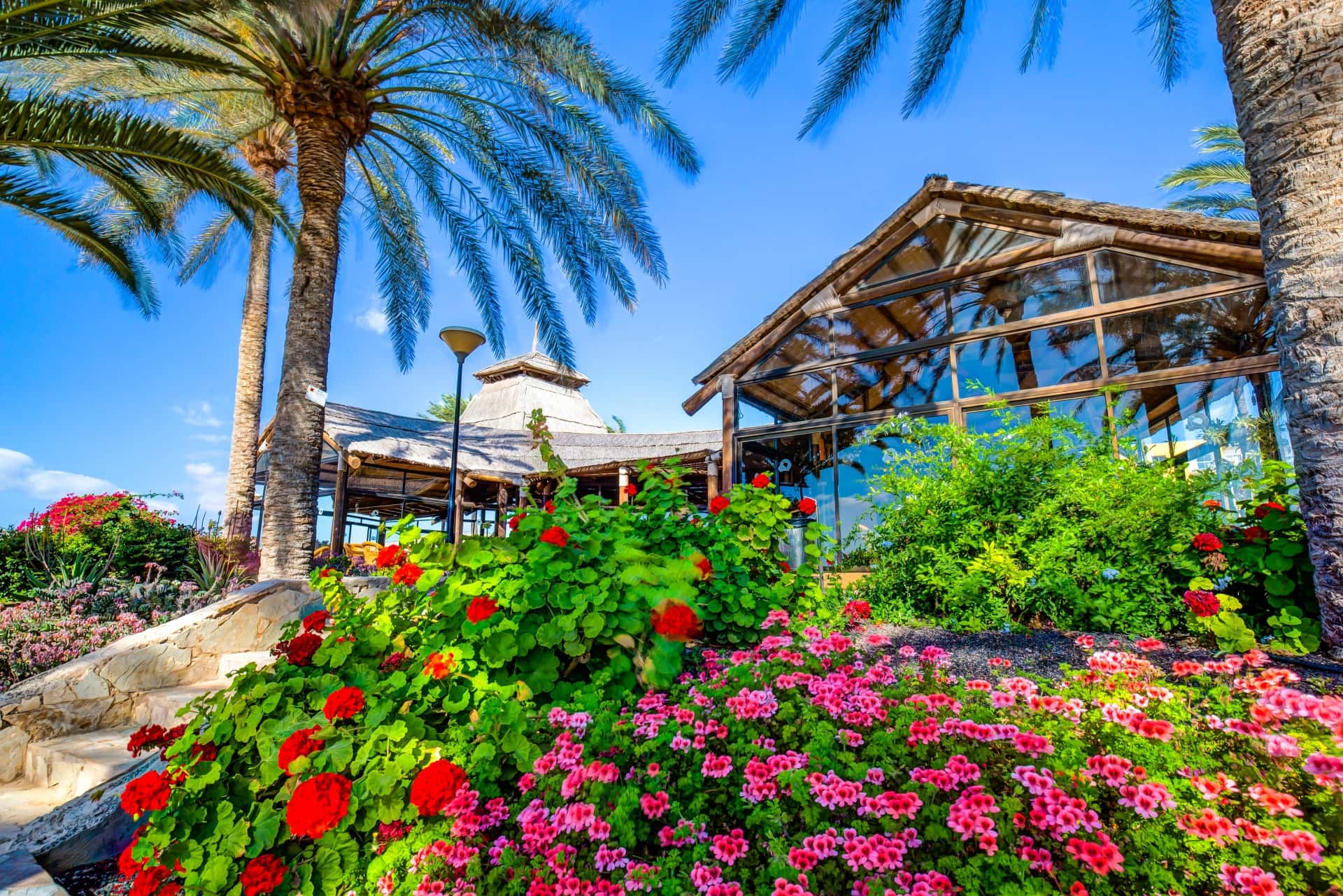 SBH Hotel Costa Calma Beach Resort - zdjęcie 82