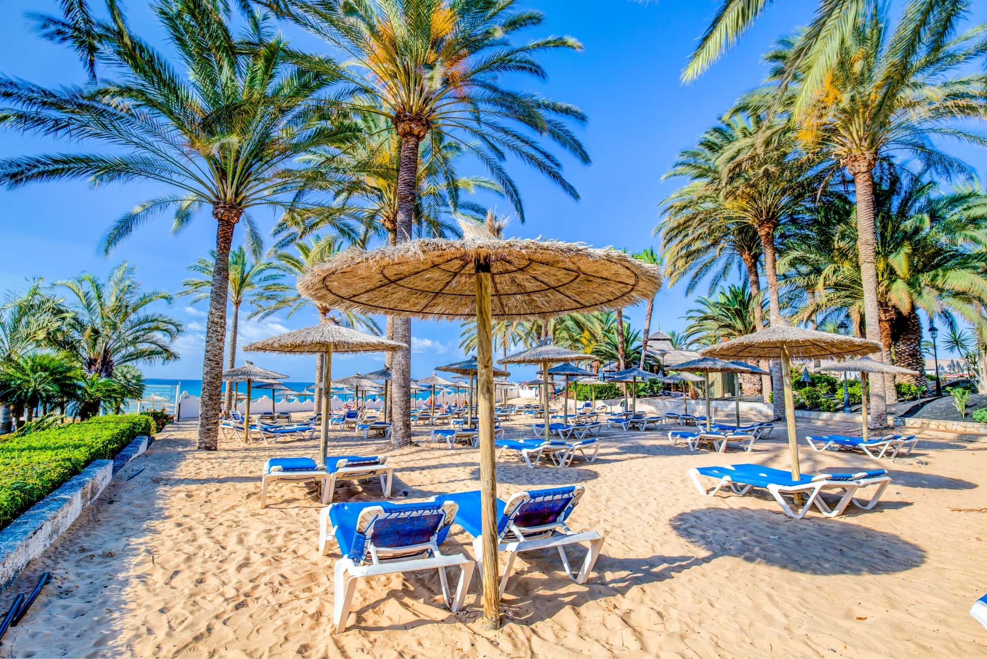 SBH Hotel Costa Calma Beach Resort - zdjęcie 66