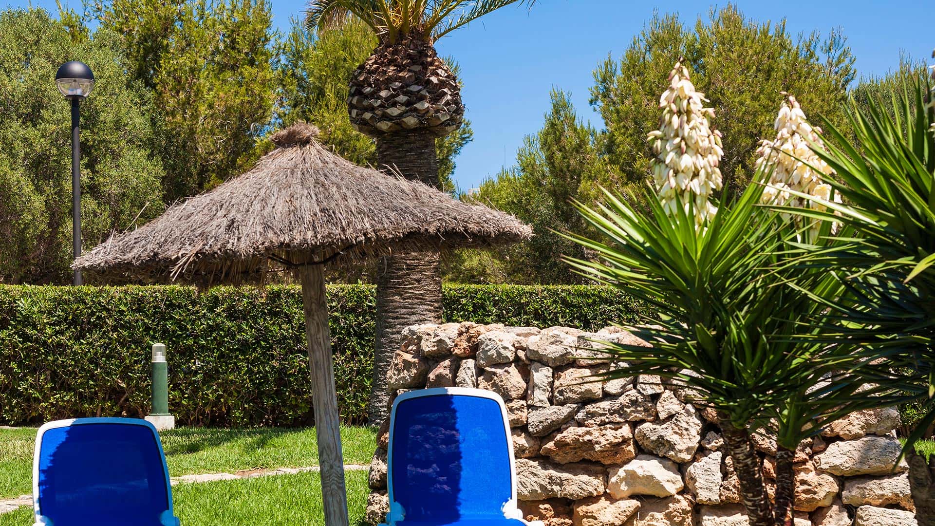 Hotel Globales Calan Blanes - zdjęcie 31