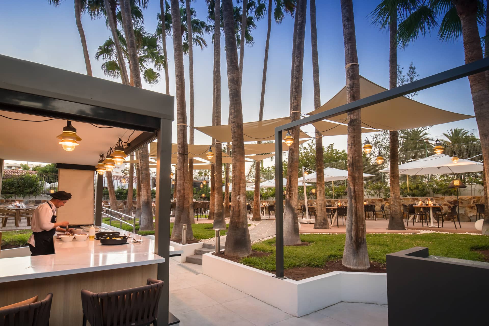 Barcelo Margaritas Royal Level Adults Only 16+ - zdjęcie 34