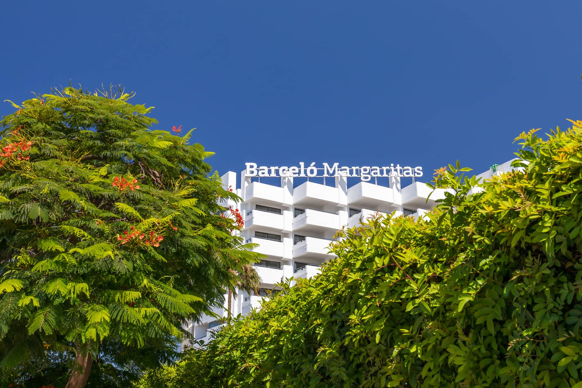 Barcelo Margaritas Royal Level Adults Only 16+ - zdjęcie 2