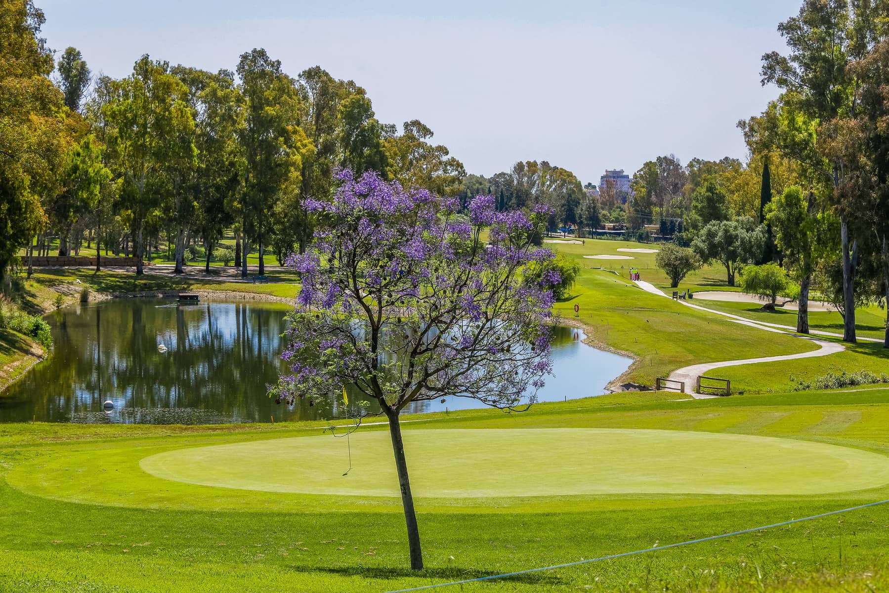 Sol Marbella Estepona - Atalaya Park - zdjęcie 32