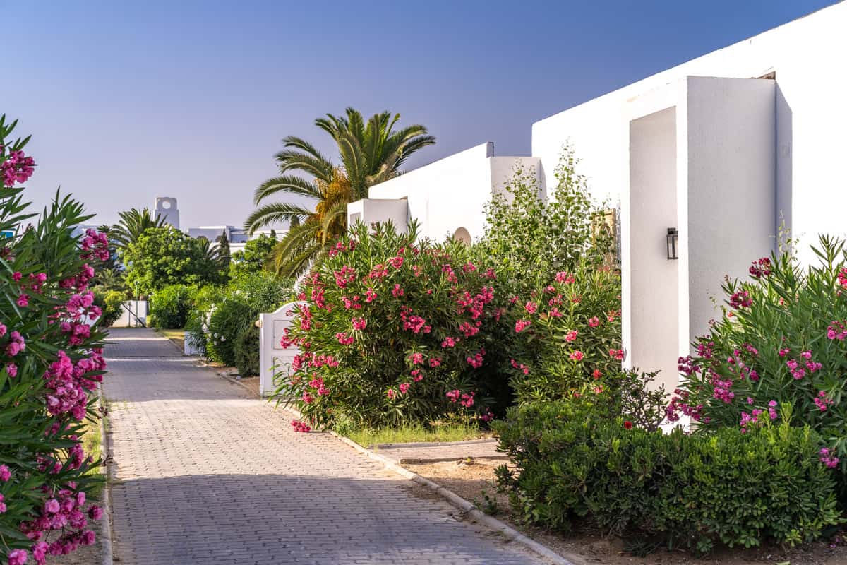 The Mirage Resort and spa Hammamet - zdjęcie 44
