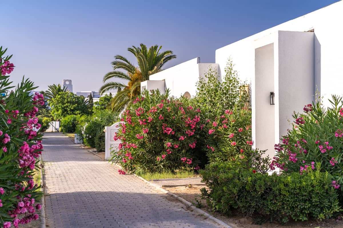 The Mirage Resort and spa Hammamet - zdjęcie 44