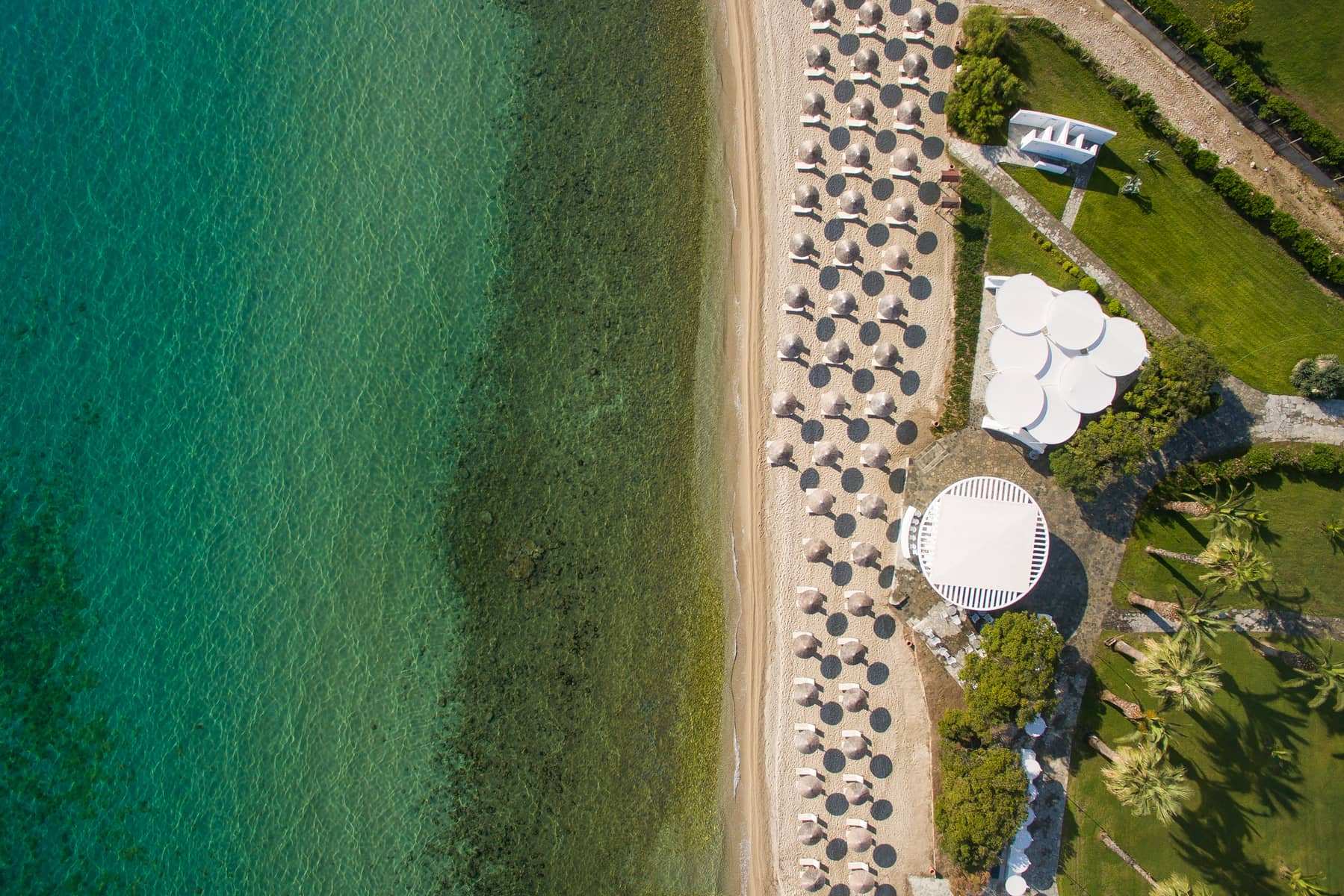Kassandra Palace Seaside Resort - zdjęcie 16