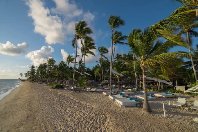 Catalonia Royal Bavaro - zdjęcie 13