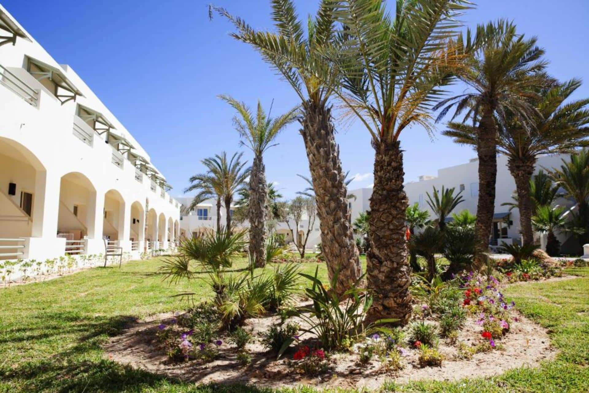 Robinson Djerba Bahiya - zdjęcie 29