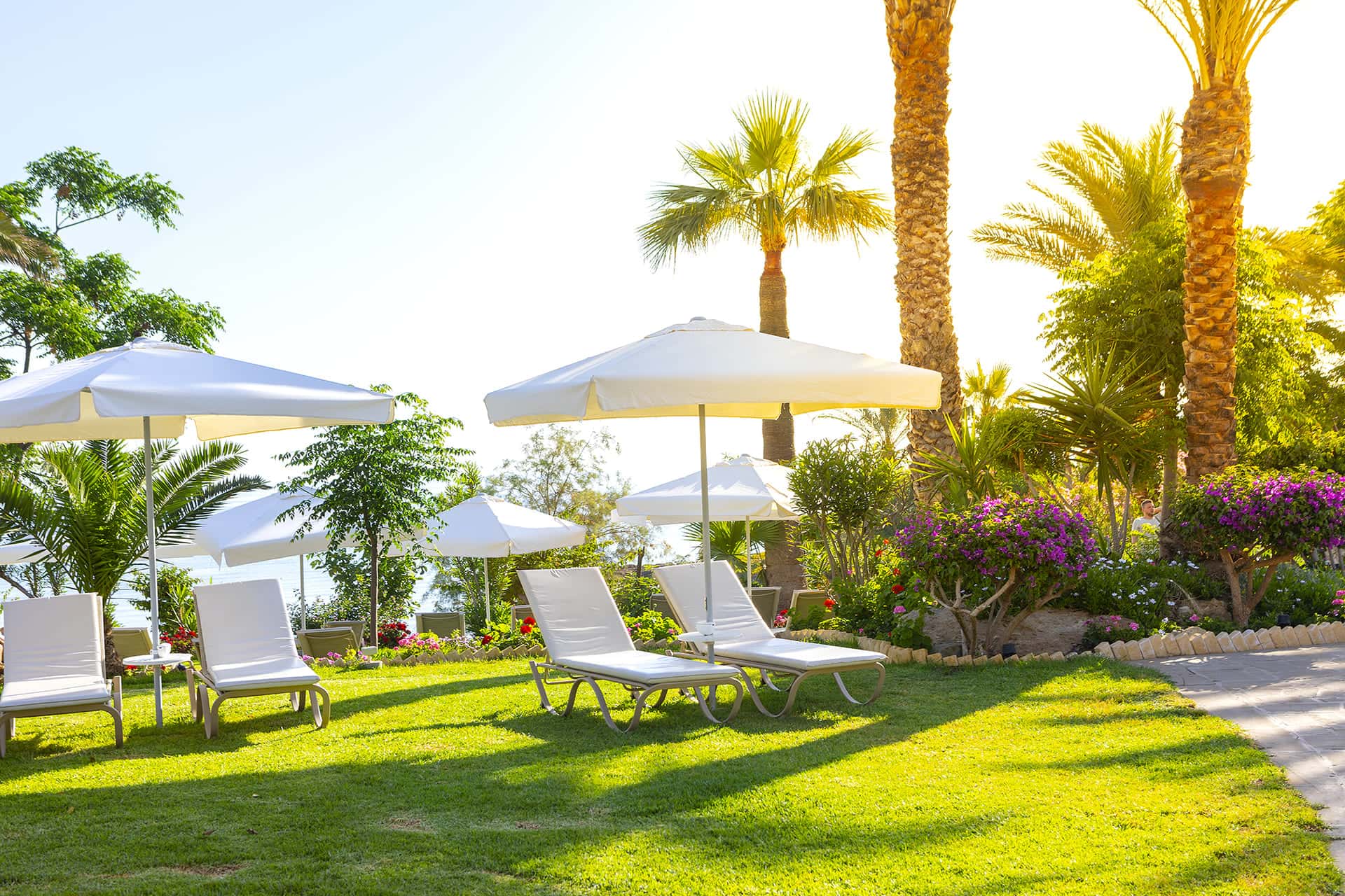 Crystal Springs Beach Hotel - zdjęcie 39