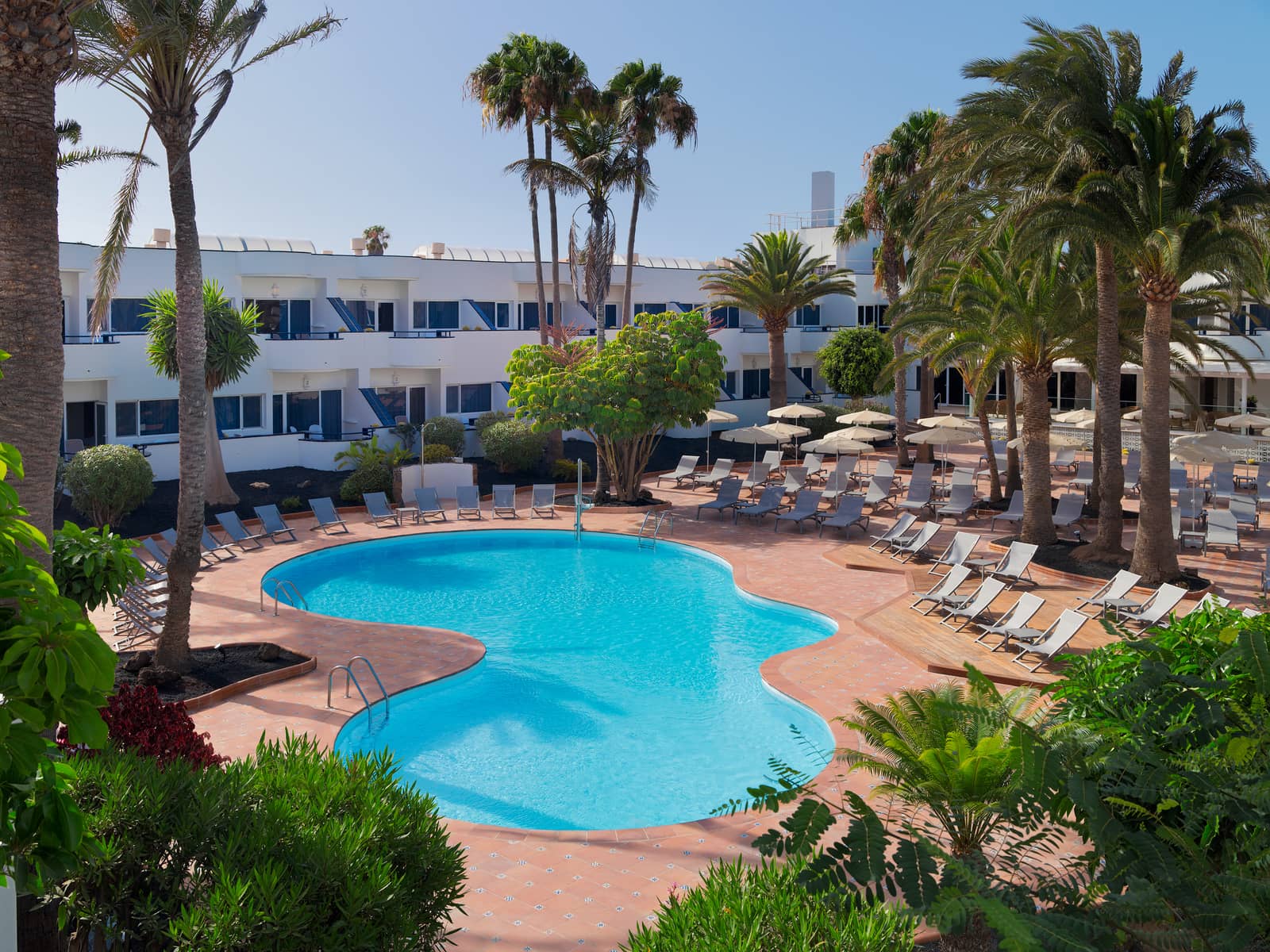 H10 Ocean Dunas Only Adults - zdjęcie 3