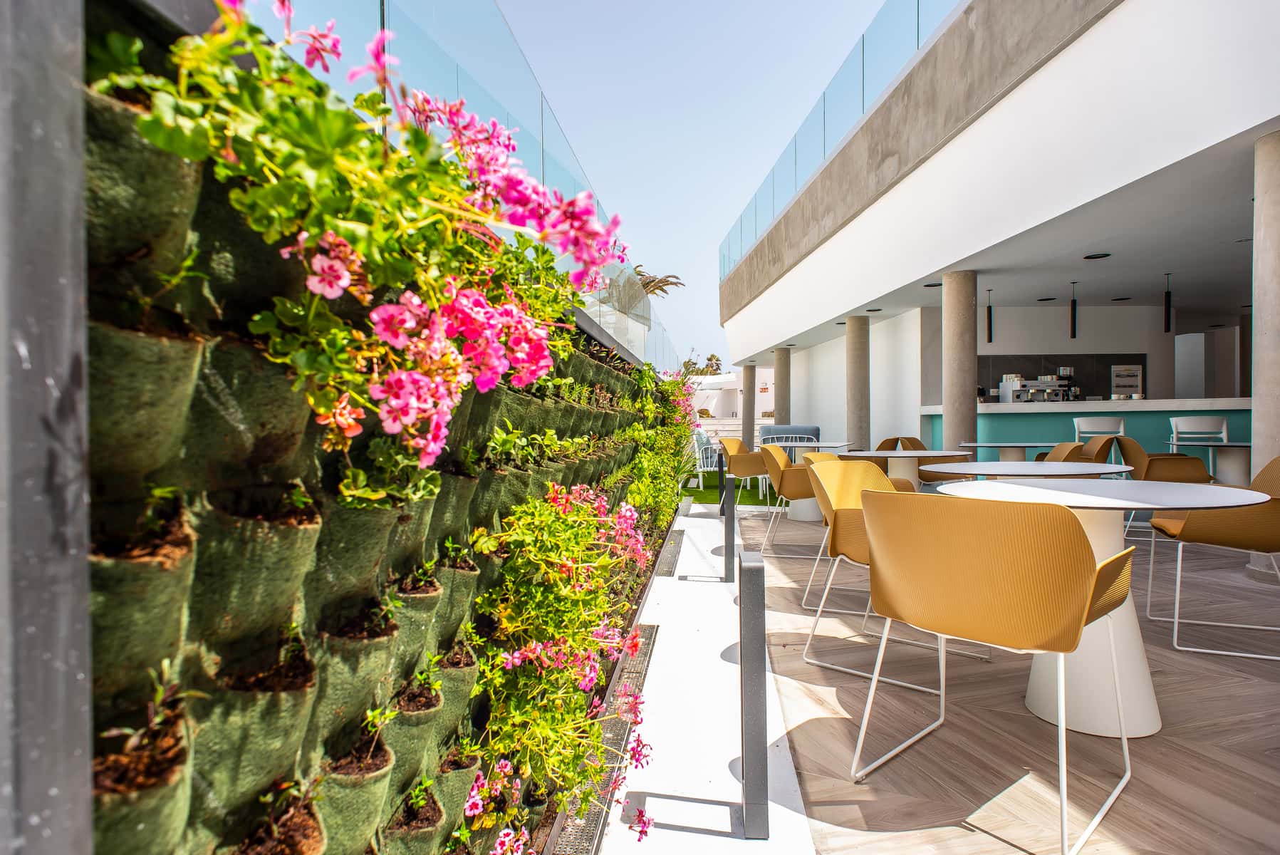 Hotel Taimar - zdjęcie 32