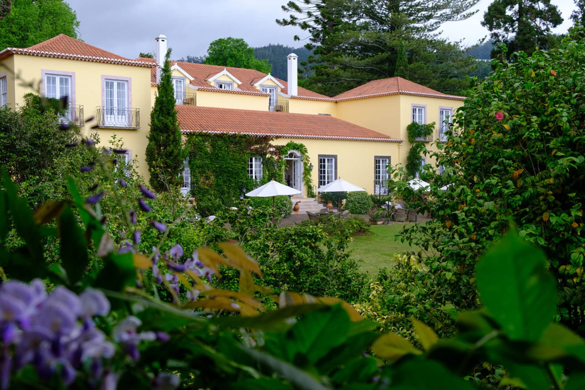 Casa Velha Do Palheiro - zdjęcie 6