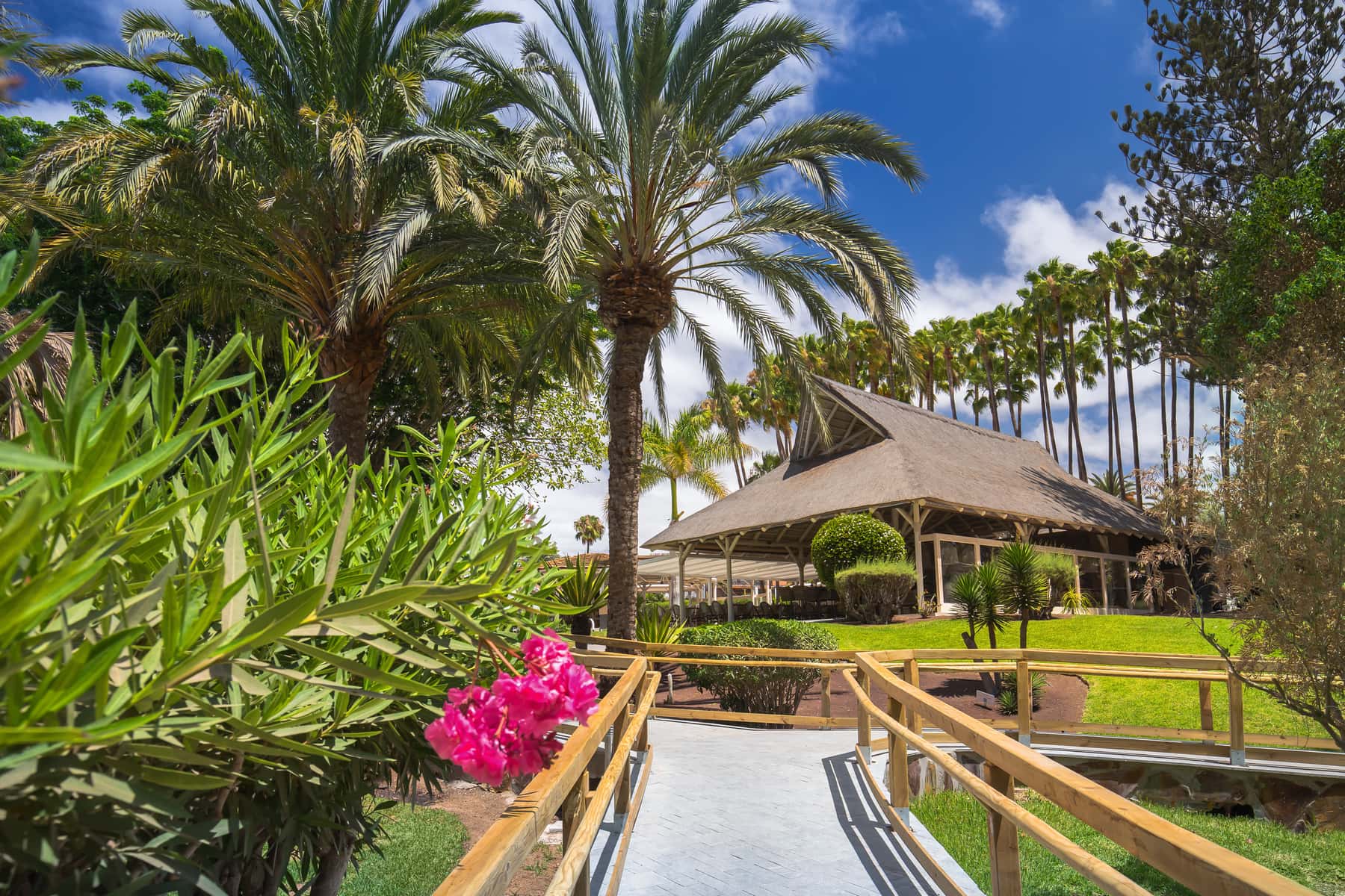 Barcelo Margaritas Royal Level - zdjęcie 17