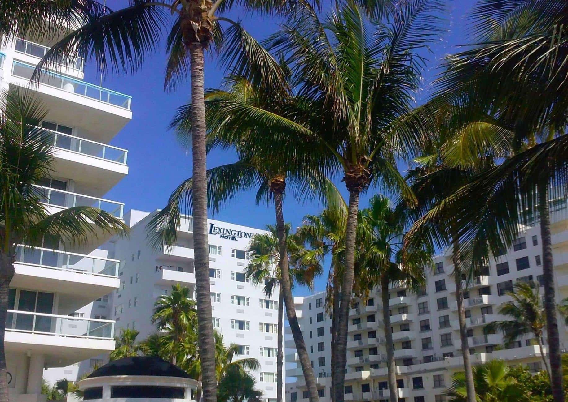 Lexington by Hotel RL Miami Beach - zdjęcie 3