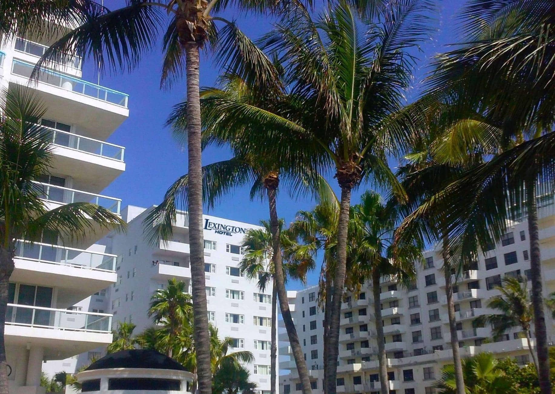 Lexington by Hotel RL Miami Beach - zdjęcie 3