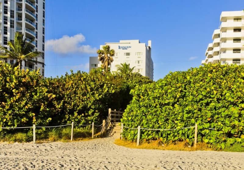Lexington by Hotel RL Miami Beach - zdjęcie 10