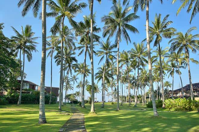 Candi Beach Resort & Spa - zdjęcie 29